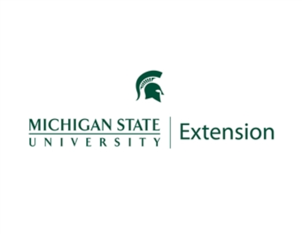 MSU Extension