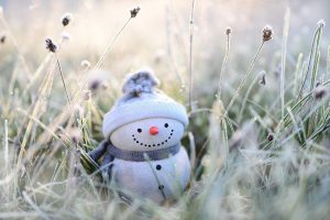 snowman, winter, grasses-4674856.jpg